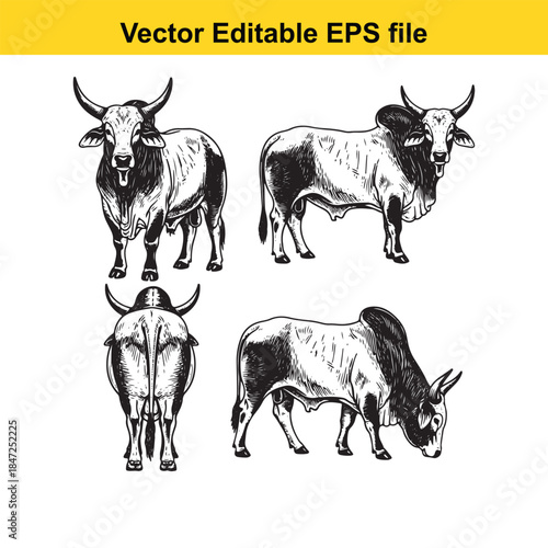  woman applying facial treatment with steam from a bowl vector illustration