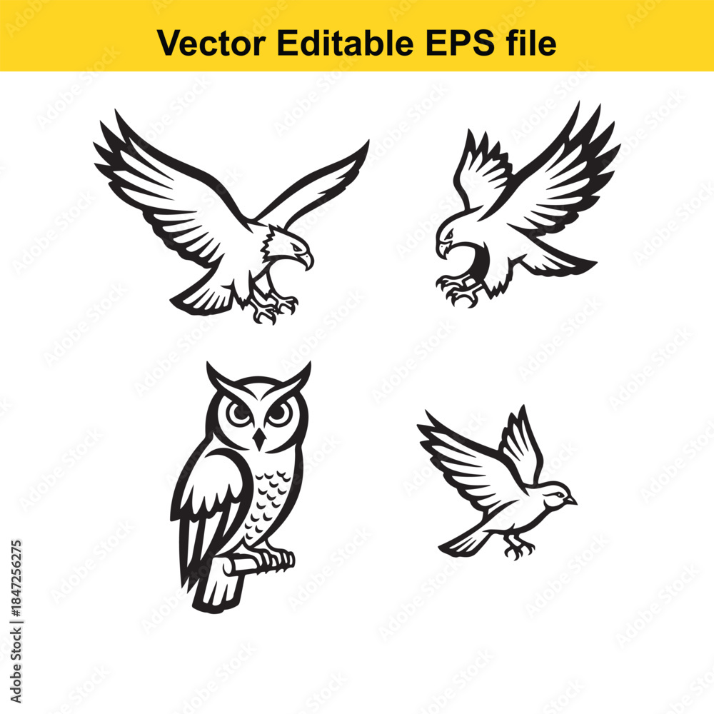 Obraz premium collection of four different bird designs in black and white vector format for editing
