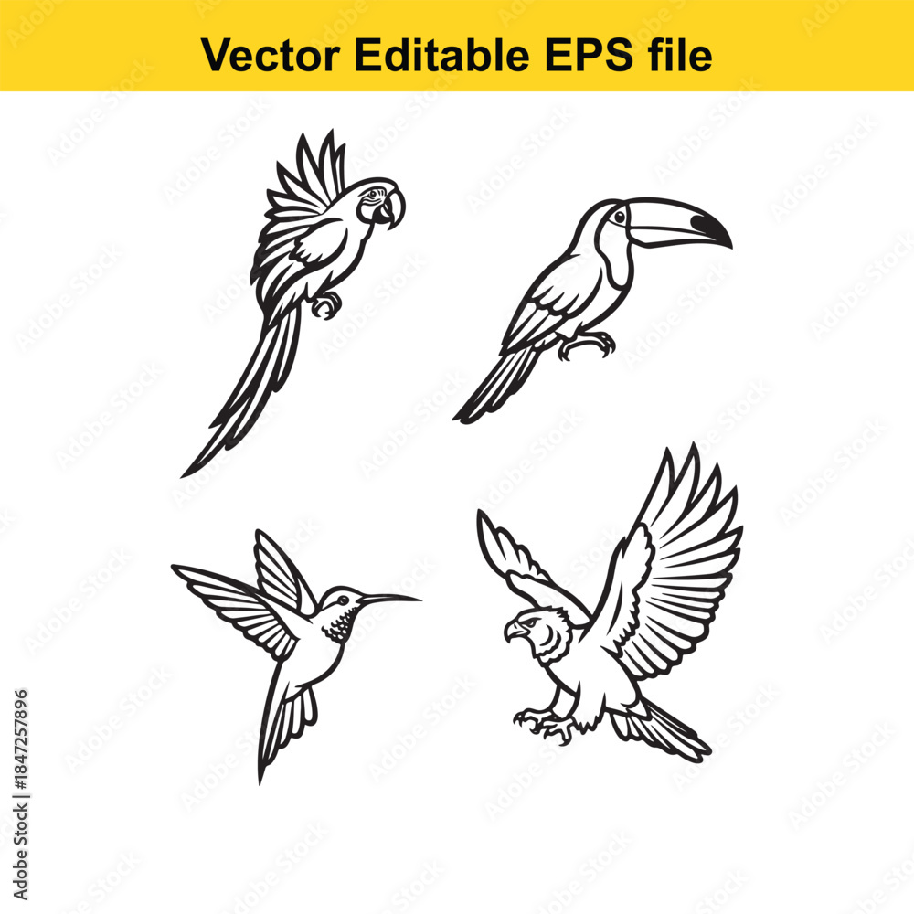 Fototapeta premium vector editable eps file of four different bird silhouettes in various poses and styles