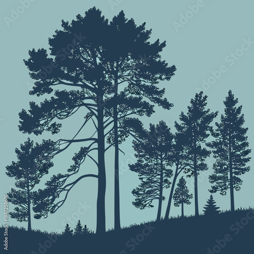 Silhouette of a group of tall pine trees and smaller conifers standing on a grassy hill against a solid light bluegreen background, stylized forest landscape