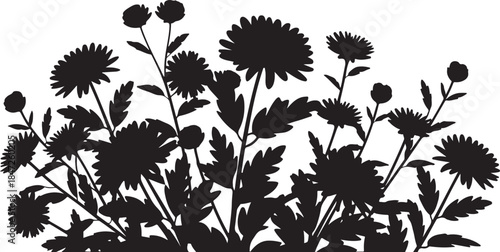 Flower silhouette foliage plants botanical garden nature bloom floral decorative