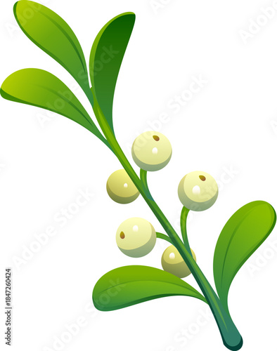 Christmas holiday mistletoe twig cartoon decoration. Happy New Year festive floral element, Xmas party isolated vector evergreen plant. Christmas celebration mistletoe branch and berry decoration