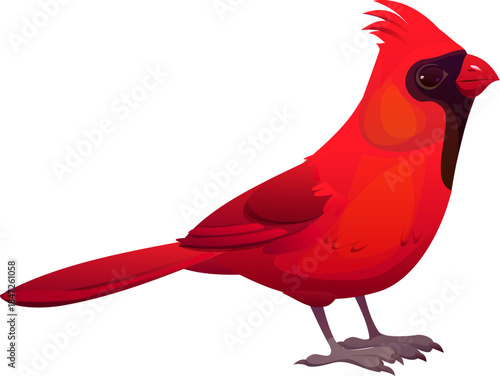 Christmas holiday red cardinal bird cartoon decoration. Merry Christmas season, Xmas animal symbol. Happy New Year holiday isolated vector red cardinal bird decoration or sticker