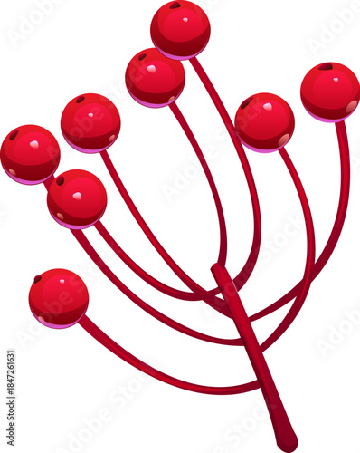 Merry Christmas cartoon holly berry decoration or object. Winter holiday plant decoration, merry Christmas festive vector element. Xmas celebration isolated holly or rowan tree red berries