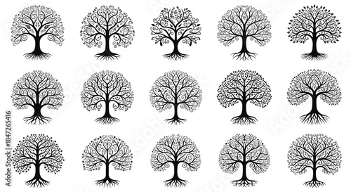 Elegant Tree of Life Circle Design with Roots Vector Illustration Set