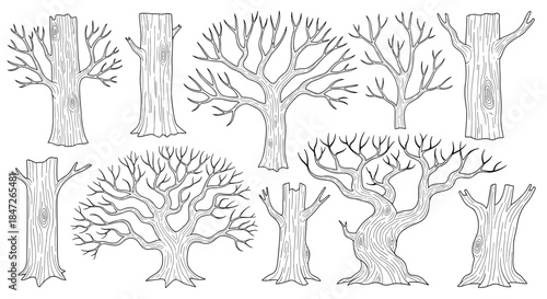 Hand-Drawn Bare Tree Trunks and Branches Line Art Vector Set
