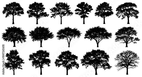 Diverse Collection of Deciduous and Coniferous Tree Silhouettes Vector Set