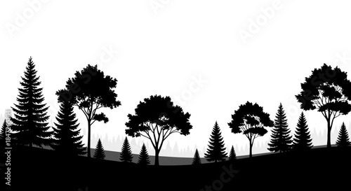 Forest Tree Silhouette Vector Banner with Mixed Evergreen and Deciduous Trees