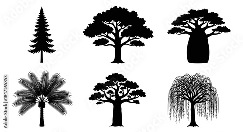 Set of 6 Diverse Tree Silhouettes Vector Illustrations including Pine Baobab and Willow