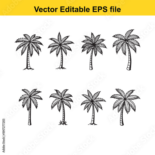  a set of eight black and white palm tree illustrations in various styles and poses