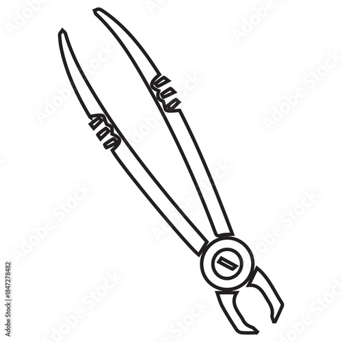 Dental Forceps Outline