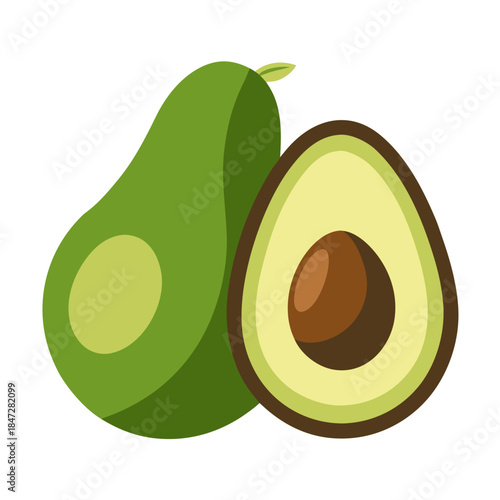 illustration of avocado fruit isolated on white