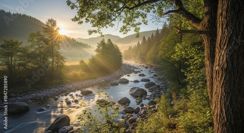 Morning sunlight streams through mist above a winding, rocky river in a dense forest valley