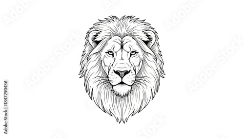 Detailed Drawing of a Majestic Lion's Head with a Full Mane