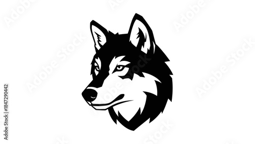 Black and white illustration of a wolf's head on a white background, depicting a fierce and watchful predator