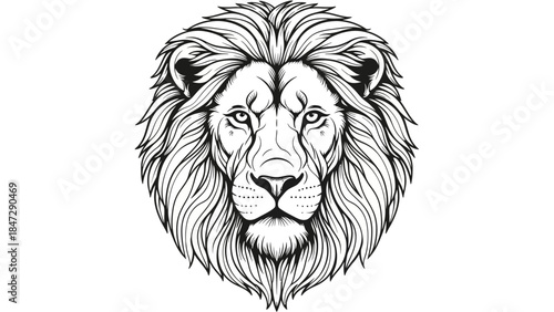 Majestic Lion Head Illustration with Detailed Mane