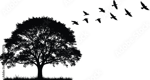 Here is a title and a comprehensive set of keywords for the illustration featuring a large deciduous tree and a flock of flying birds, structured for Adobe Svector content SEO, meetinrequirements.