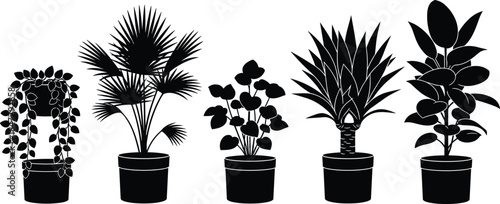 Indoor potted plant silhouettes set modern houseplant collection black vector illustration minimal botanical decor for interior design branding commercial use