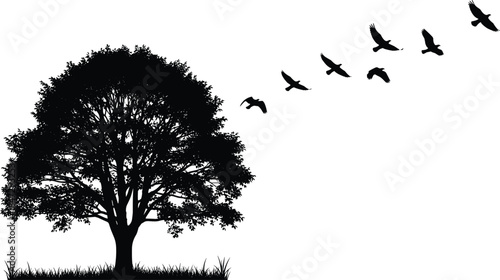 Large Oak Tree Silhouette Vector with Flock of Flying Birds, Grass, and Shrubs for Freedom, Nature, and Landscape Design.
