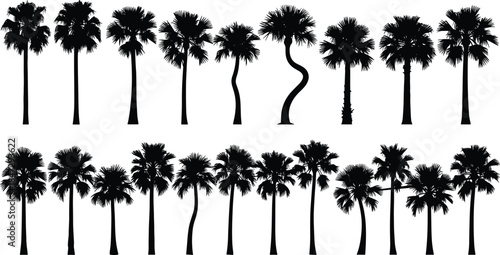 Large Vector Collection of Tropical Fan Palm Tree Silhouettes for Summer, Beach Vacation Backgrounds, and Exotic Nature Graphics.
