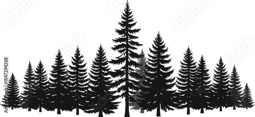 Old Olive Tree Silhouette Vector Illustration, Detailed Swirling Trunk, Roots, and Crown for Logo, Nature Symbol, or Print Design.