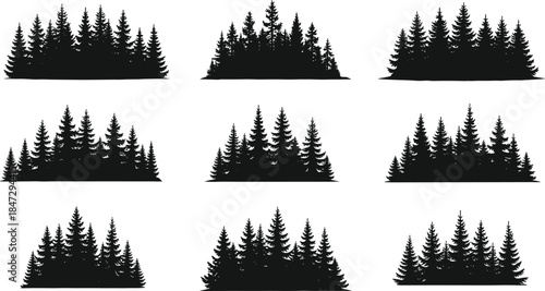 Pine Forest Silhouette Bundle, Set of Nine Detailed Evergreen Tree Groups, Conifer Woods Vector Collection for Outdoor Landscape