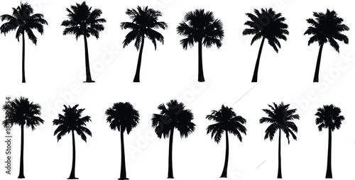 Tropical Palm Tree Silhouettes Vector Collection, Isolated Black Icons for Summer, Beach, Vacation, and Travel Design.