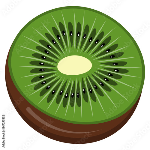 Fresh Sliced Kiwi Fruit Illustration