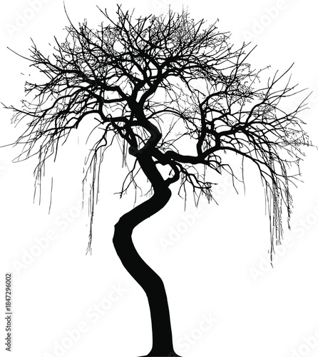 Twisted Willow Tree Silhouette Vector, Dramatic Bare Branch Shape, Mystical Winter Nature Landscape Element for Graphic Design