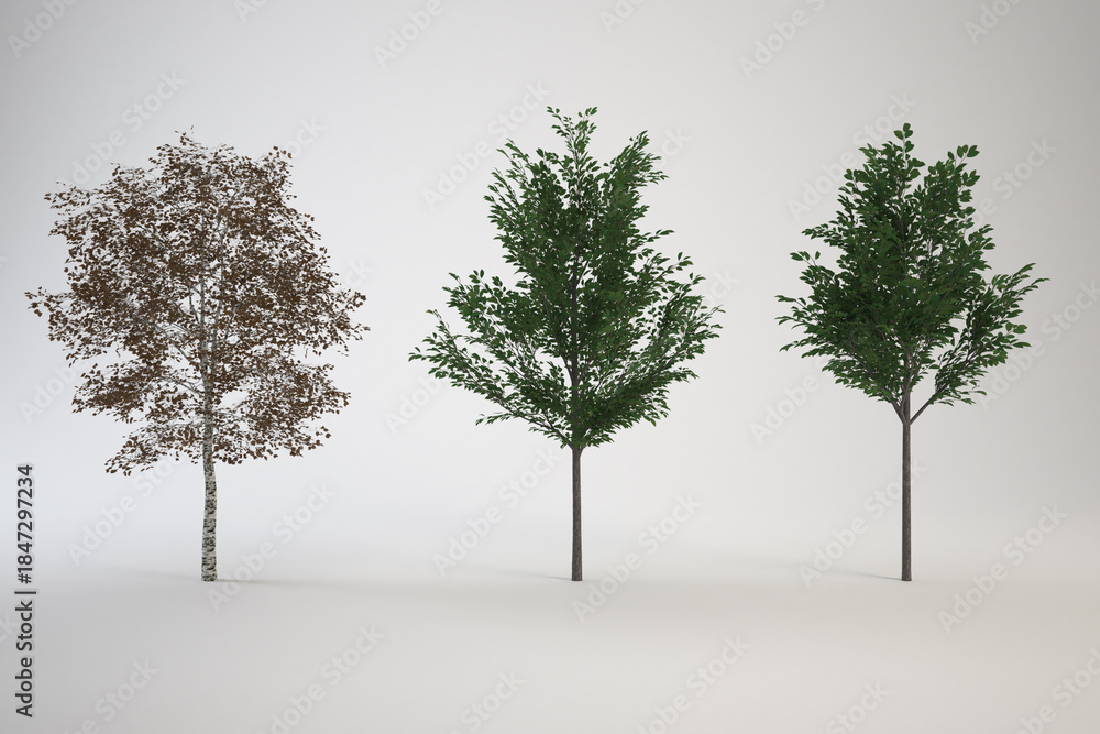 Fototapeta premium Three different trees with different colors in the leaves.