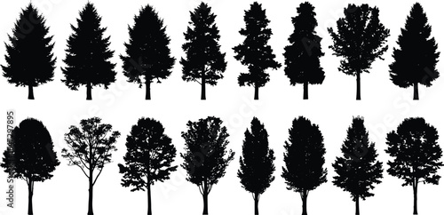 Vector Collection of Mixed Tree Silhouettes: Conifer and Deciduous Broadleaf Trees for Nature, Park, and Landscape Design Elements.