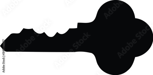 Stylish Key Silhouette for Security and Access Concepts