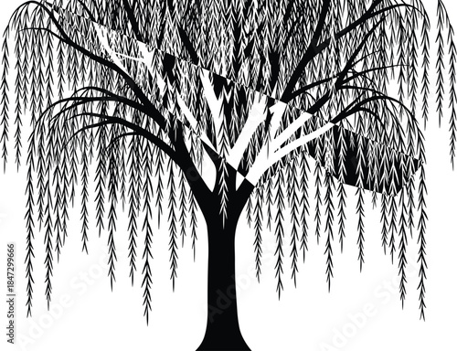 Weeping Willow Tree Silhouette Vector, Abstract Black and White Graphic with Hanging Branches, Mystical Nature Landscape Design