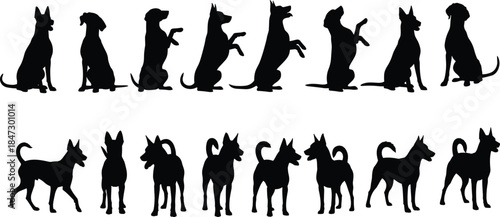 Dog silhouette collection, sitting and standing poses, black vector animals, pet gesture reference, canine posture variety, behavior illustration pack