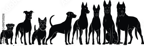 Dog silhouette vector, breed comparison, size lineup, black icon, pet diversity, canine shape, animal graphic, large and small dogs