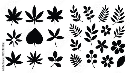 A diverse collection of black leaf and flower silhouettes on a clean white background