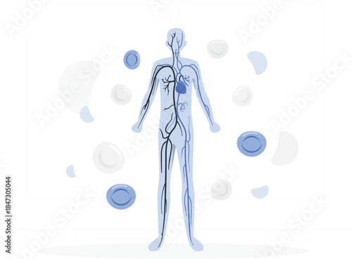 A transparent illustration of a human figure with internal organs and abstract shapes surrounding the body