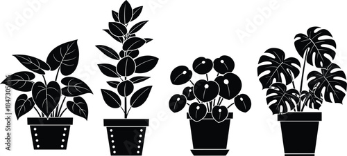 Houseplants silhouette vector set, indoor potted plants collection, minimal black and white botanical icons, modern home decor illustration, design, isolated