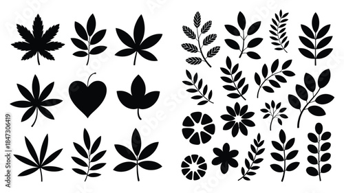 A varied assortment of black leaf and stylized floral silhouettes against a pure white backdrop