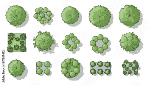 Hand-Drawn Top View Trees Vector – Isolated for Landscape, Architectural & Garden Projects