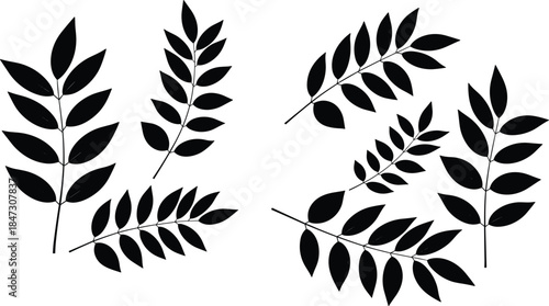 Black Leaf Silhouette Collection Botanical Branches Isolated on White Background Minimal Nature Vector Illustration Design for Modern Decorative Graphic Elements