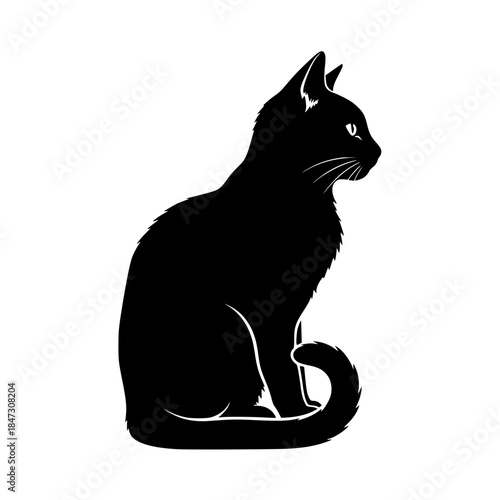 cat vector illustration, black cat vector, black cat on white
