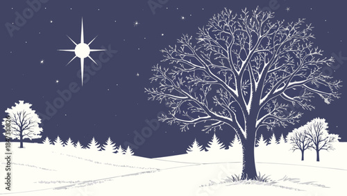 Winter night landscape with snow covered trees and bright star serene holiday scene for Christmas an