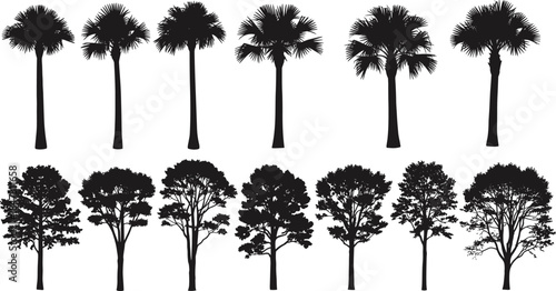 Diverse Tree Silhouettes Vector Set, Tropical Fan Palm and Deciduous Tree Shapes Collection, Nature Element Graphic for Landscape Design