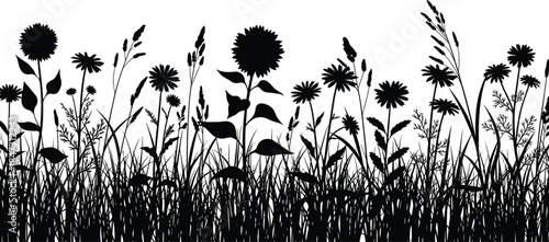 flowers, silhouette, grass, nature, wild, plants, botanical, flora, abstract, design, decoration, leaves, stems, petals, seeds