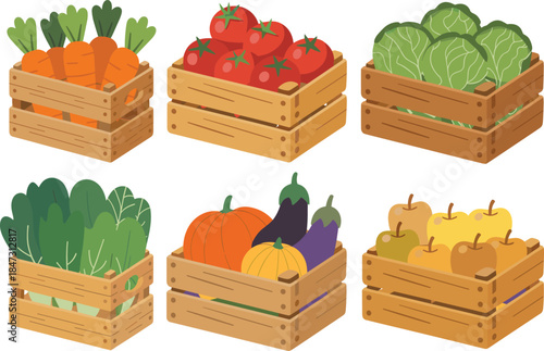 Colorful farm vegetable and fruit crates including carrots, tomatoes, cabbage, leafy greens, pumpkins, squash, and apples in a cute flat cartoon style
