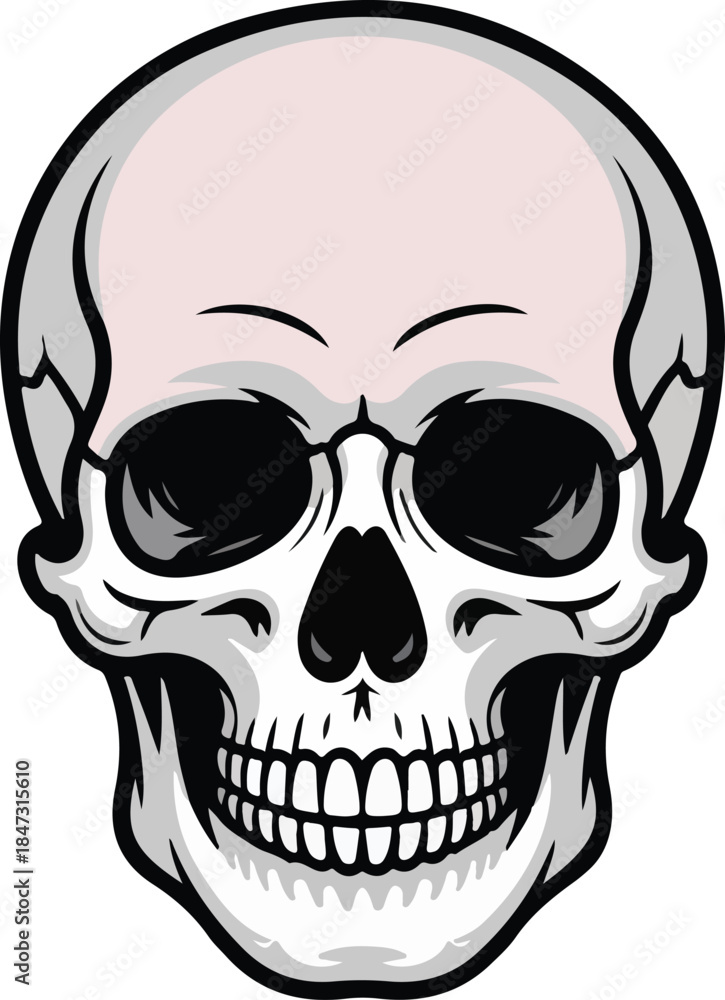 Fototapeta premium Human skull vector image presented in a front view on a black background for anatomical studies or Halloween concepts