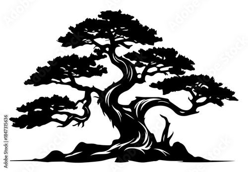 Black silhouette of a twisted japanese bonsai tree on white