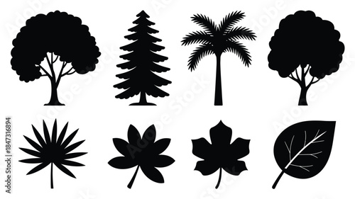Diverse collection of black tree and leaf silhouettes including pine, palm, and deciduous shapes