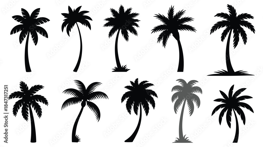 Fototapeta premium Diverse collection of ten black palm tree silhouettes with various shapes and heights